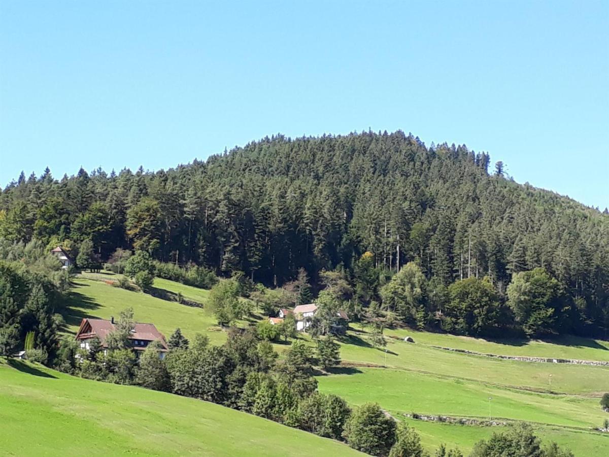 Isoldes Landhaus Baiersbronn Zewnętrze zdjęcie